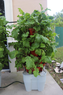 Smart Farm Kit
