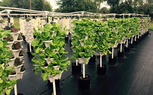 diy 4 plant hydroponic system DIY 4 Tower Vertical Garden Kit – Smart Hydro Garden By Mr.Stacky